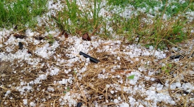 Dolu yağışı meyve ve sebzelere zarar verdi