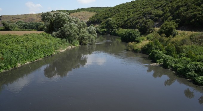 Bursa'da 30 yılın bitmeyen çilesi...Balıklar ölüyor, Nilüfer Çayı zehir akıyor