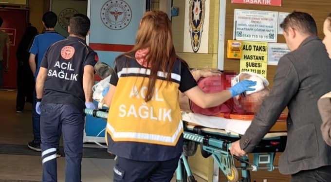 Kiraz ağacından düşen adam ağır yaralandı