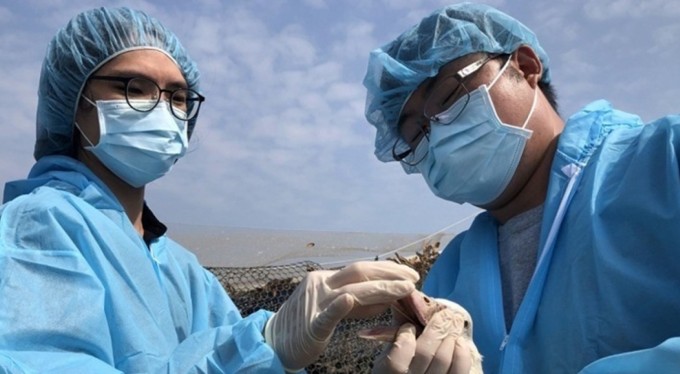 Dünya Sağlık Örgütü'nden korkutan virüs açıklaması! İlk insan ölümü doğrulandı