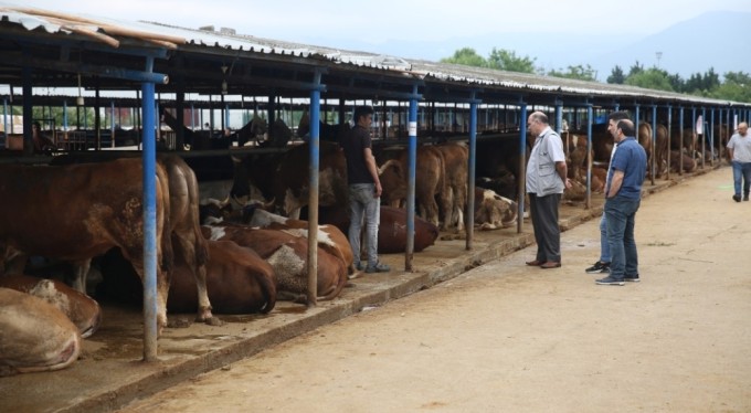 Nilüfer Kurban Bayramı'na hazır