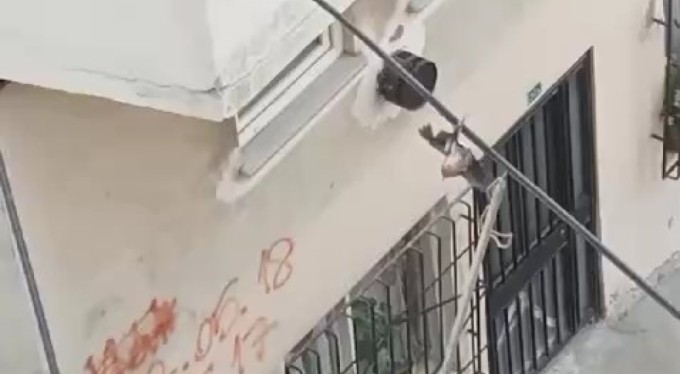 Elektrik kablosunda asılı olan kuşu itfaiye ekipleri kurtardı