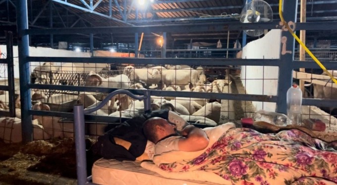 Bursa'da koyun koyuna kurban nöbeti