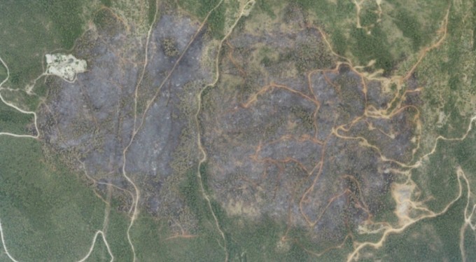 Orhaneli'ndeki yangında 96 hektar orman kül oldu, ağaçlandırma çalışması başladı