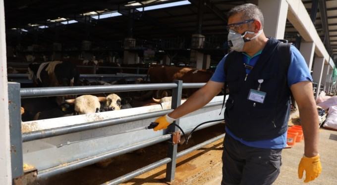 Kurban pazarlarında sinekle mücadele sürüyor