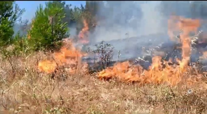 Bursa'da anız yangını, ormana sıçramadan kontrol altına alındı