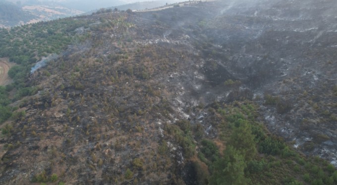 Bursa'daki orman yangını kısmen kontrol altına alındı