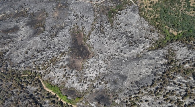 Bursa'daki yangın kontrol altına alındı