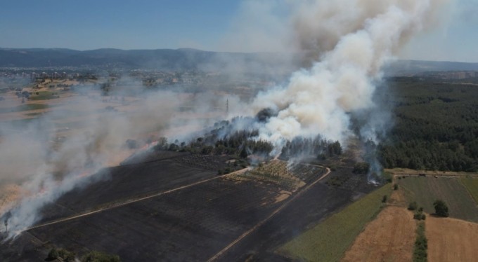 Valilik açıkladı! Bursa'da ormanlara girişler yasaklandı