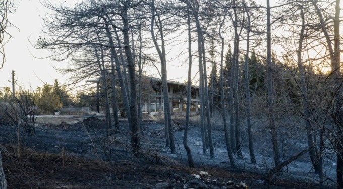 YÖK Başkanı Erol Özvar: "Bu ormanlar kolay kolay yetişmiyor"