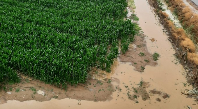 Bursa Ovası'nda binlerce dönüm ekili alan sular altında kaldı