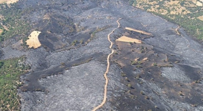 Bursa'da yanan orman alanına 380 bin fidan dikilecek