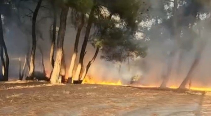 Bursa'da piknik alanında çıkan yangın ormana sıçramadan söndürüldü