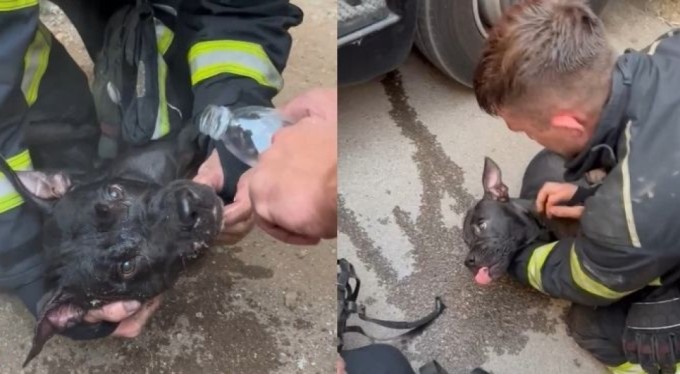 Bursa'da itfaiyeden hayat kurtaran müdahale