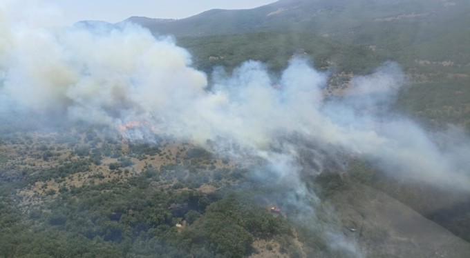 Bursa'da orman yangınına havadan ve karadan müdahale sürüyor