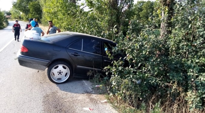 Bursa'da otomobil ağaçlara çarptı: 2 yaralı
