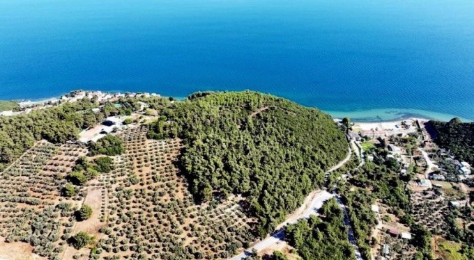 Bursa'daki 116 dönüm deniz manzaralı orman ihalesine en yüksek fiyat özel sektörden