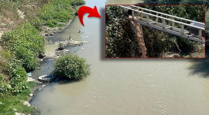 Beypiliç ve Erpiliç'ten çevre katliamı: 2 milyon lira ceza kesildi