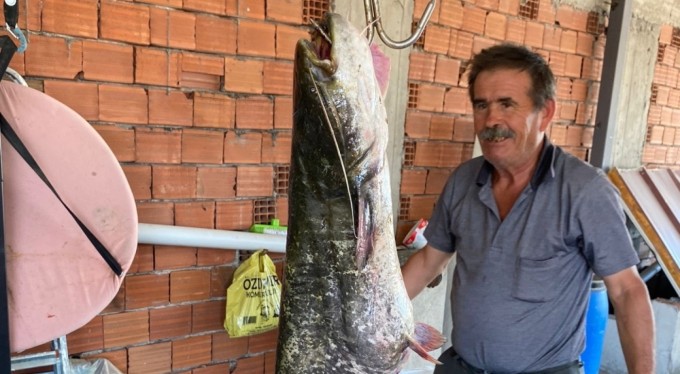 Bursa'da barajda 87 kilogramlık balık yakalandı