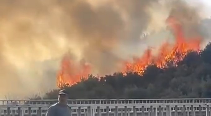 Bursa'da barakadan çıkan yangın zeytinlik alana sıçradı