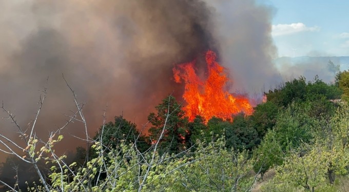 Bursa'da korkutan orman yangını