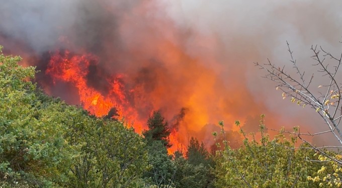 Bursa İznik'teki orman yangınında 30 hektar alan küle döndü