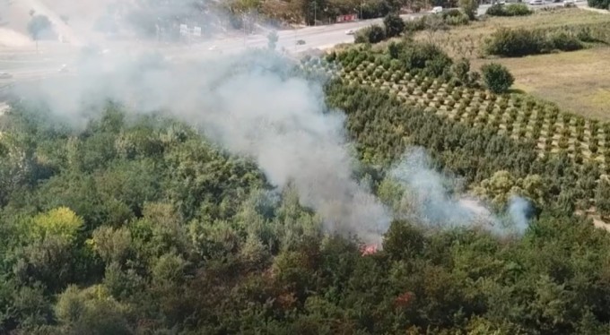 Bursa'da otluk alan alev alev yandı