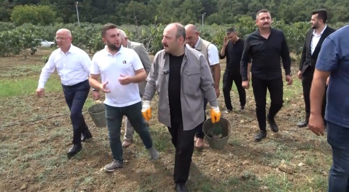 İncir hasadına katılan AK Parti Millet Vekili Mustafa Varank, "İftiralarla karalamaya çalışan bir kesim var"
