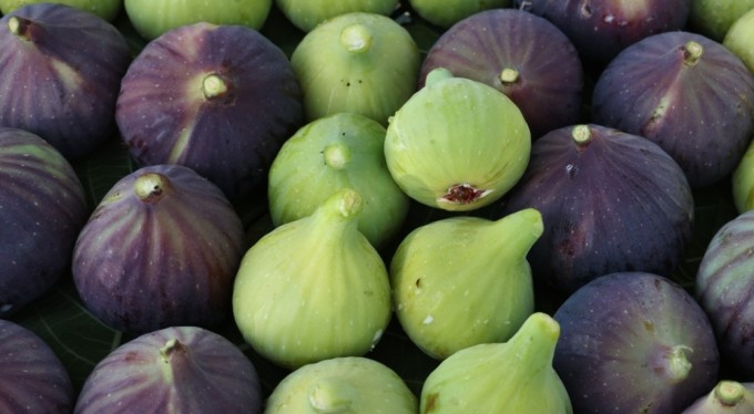 Bursa siyah inciri AB'den coğrafi işaret tescili aldı