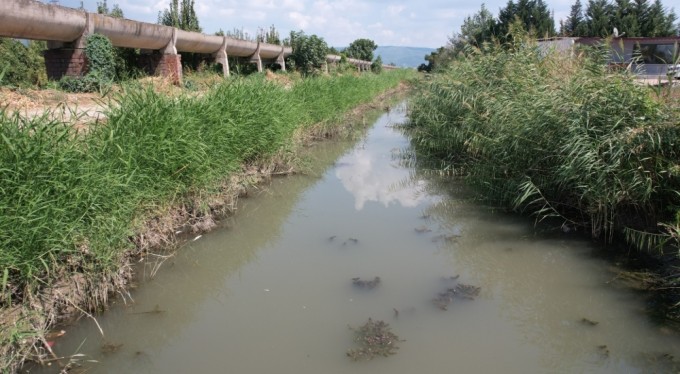 Bursa'da çevre felaketi devam ediyor