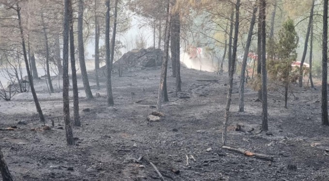 Bursa'da çıkan orman yangını kontrol altına alındı