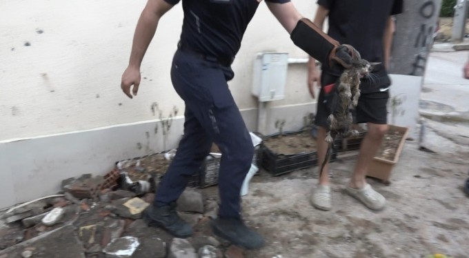 Bursa'da yavru kedi 7 saatlik operasyonla kurtarıldı