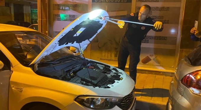Bursa'da aracın kaputundan yılan çıktı