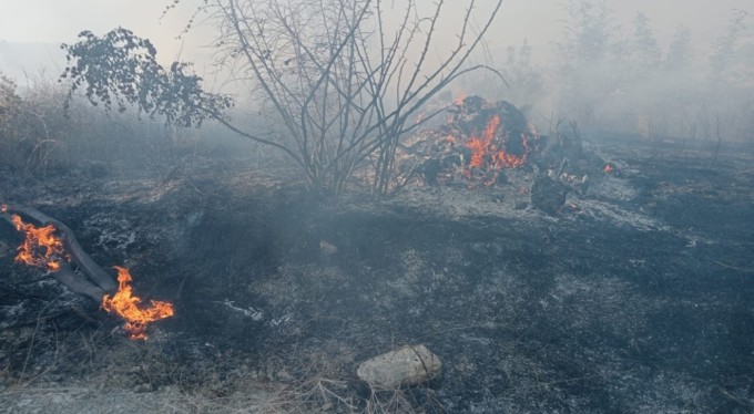 Yenişehir'de ormanlık alanda çıkan yangına havadan ve karadan müdahale edildi