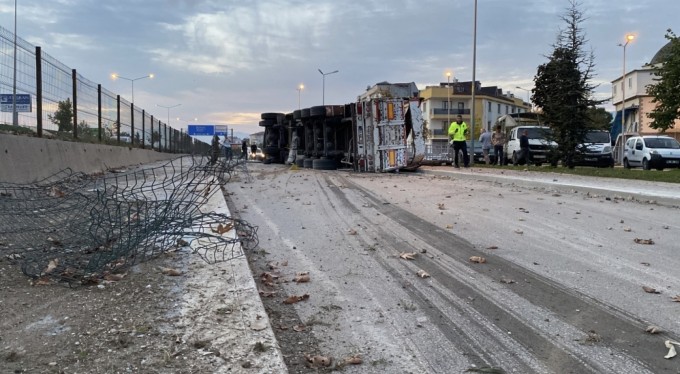 Kontrolden çıkan tır altyola uçtu : 1 yaralı