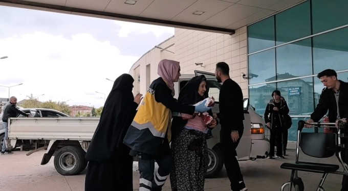 Bursa'da bir garip olay: Kedi ile köpeğin kavgasını ayırdı, kedinin saldırısına uğradı