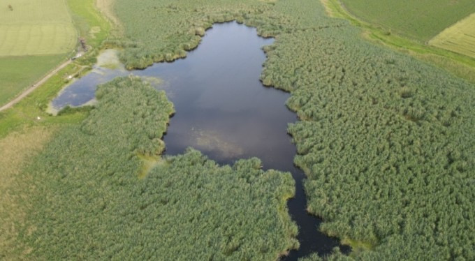 Türkiye'nin en önemli kuş cennetleri arasında yer alıyordu: Kuraklık tamamen kuruttu