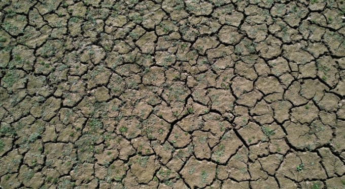 Bursa'da dünyanın armut bahçesi kuraklıkla karşı karşıya