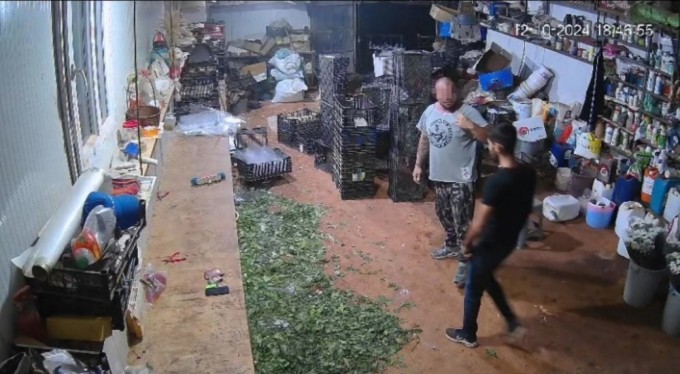 Tek yumrukla komalık olan çiçekçi hayatını kaybetti