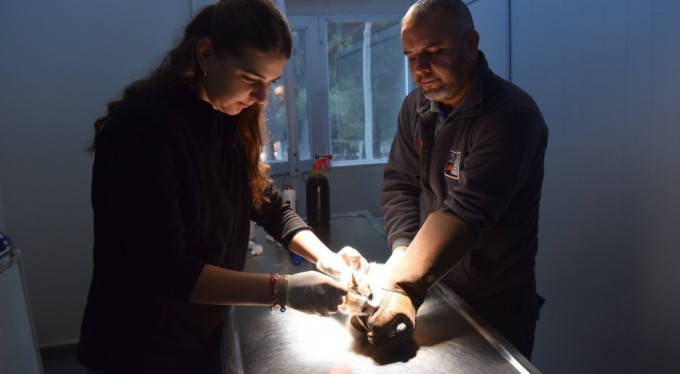 Yıldırım'da can dostlar emin ellerde