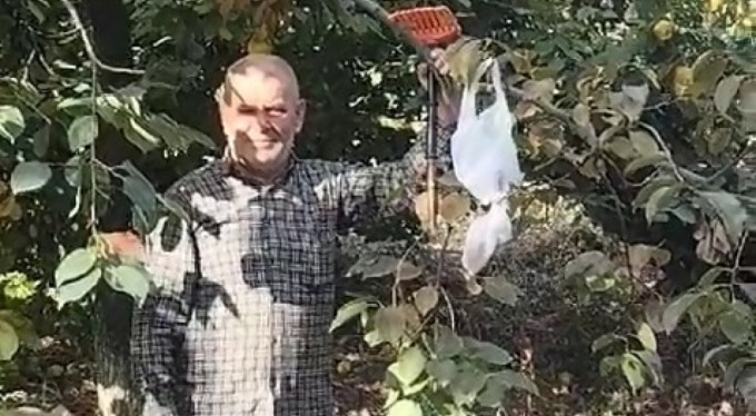 Bahçeden hurma toplayıp parasını poşet içinde ağaca astı