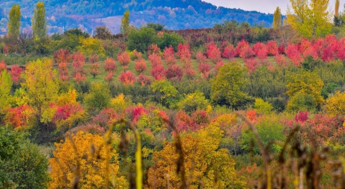 Uludağ'ın eteklerinde müthiş görüntüler