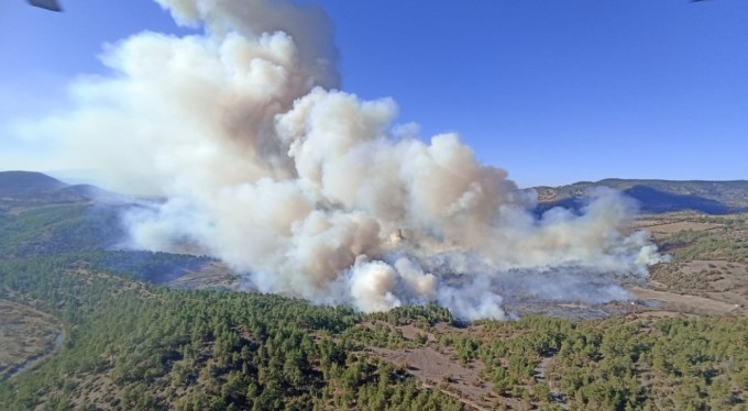 Bursa'da orman yangını: Havadan ve karadan müdahale devam ediyor