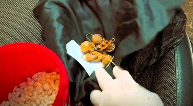 1600 yıllık altın takıları kuru fasulyenin içine sakladılar