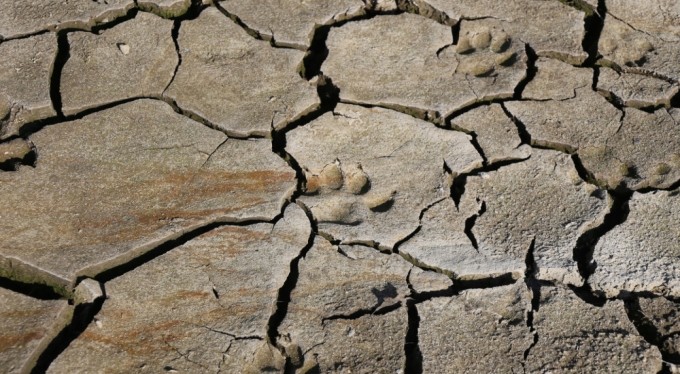 Bursa'da kuruyan barajda basın açıklaması: Susuzluk kapıda