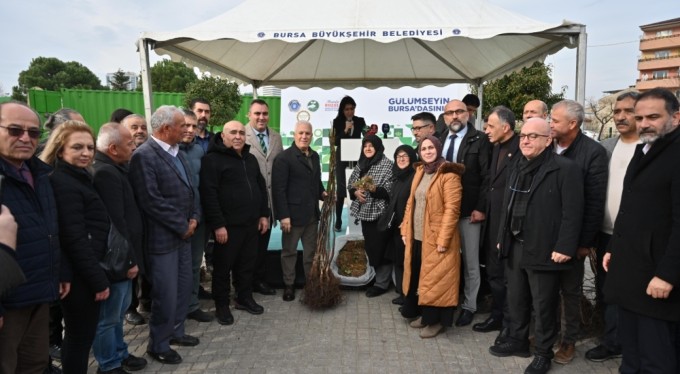 Bursa Büyükşehir'den üreticiye fide ve fidan desteği