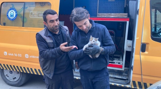 Bursa'da kaputa sıkışan yavru kedi kurtarıldı