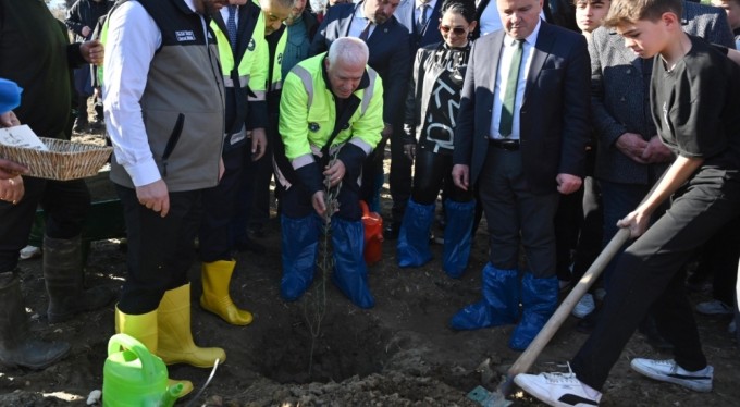 Zeytin fidanları toprakla buluştu