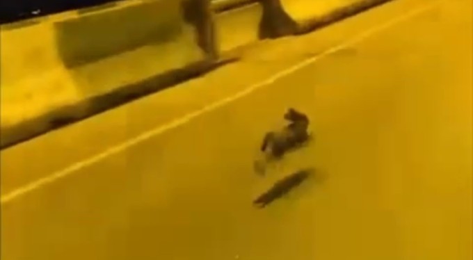 Bursa'da bir sürücü, otobanda tavşanla yarıştı.