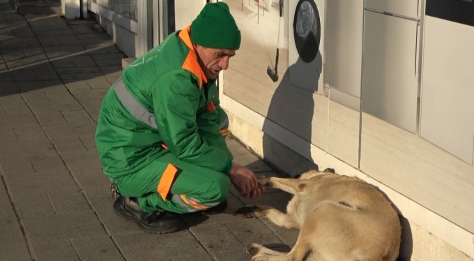 Bursa'da belediye çalışanının köpekle keyifli vakit geçirmesi içleri ısıttı